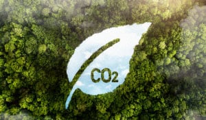 Reduce la huella de carbono: captura, almacenamiento y transporte de CO2.
